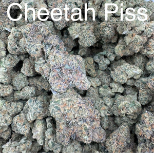 Cheetah Piss